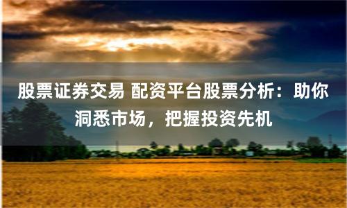 股票证券交易 配资平台股票分析：助你洞悉市场，把握投资先机